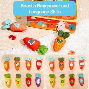 Carrots Magic & Animal Tails Sensory Kit